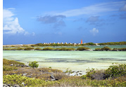 Queen Victoria Gay group Caribbean and Panama cruise visiting Kralendijk, Bonaire