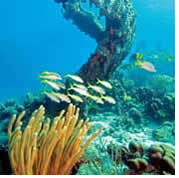 Queen Victoria Gay group Caribbean and Panama cruise visiting Kralendijk, Bonaire