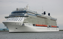 Celebrity Reflection