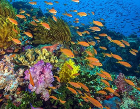 Grand Cayman gay cruise