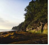Wine and Pacific Gay Group cruise - Astoria, Oregon