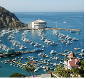 Wine and Pacific Coast Gay Group cruise visiting Catalina Island, California