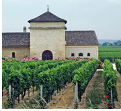 Wine and Western Europe Gay group cruise visiting Bordeaux, France