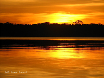 Romance Voyages Amazon River All-Gay Cruise Tour