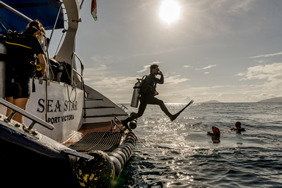 Sea Star dive platform