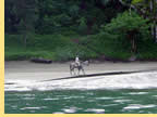 Exclusively gay Costa Rica cruise visiting Drake Bay