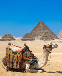 Egypt Luxury Gay Cruise 2023