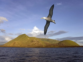 Galapagos gay cruise Espanola