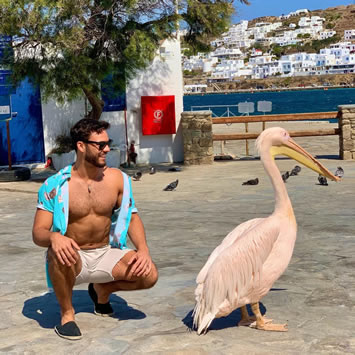 Gay Mykonos Greece cruise