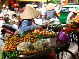 Saigon Vietnam gay tour