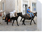 Luxury All-Inclusive Gay yacht cruise visiting Hydra, Greece