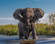 Africa Gay Adventure Cruise
