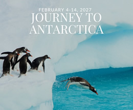 Antarctica Gay Cruise 2027