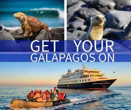 Galapagos Luxury Gay Cruise