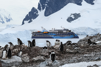 Antarctica adventure lesbian cruise