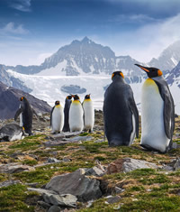 Antarctica Lesbian Adventure Cruise 2022