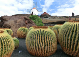 Lanzarote lesbian cruise