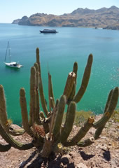 Sea of Cortez Lesbian Mexico Adventure Cruise
