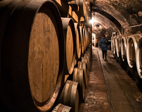 Ilok, Croatia lesbian cruise