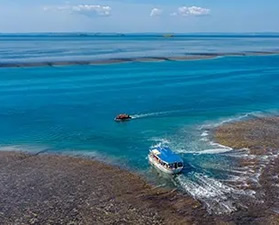 Kimberley Coast lesbian cruise - Montgomery Reef