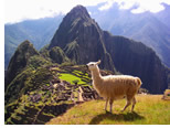 Peru Lesbian Adventure Tour 2022