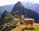 Machu Picchu Lesbian Adventure Tour 2022