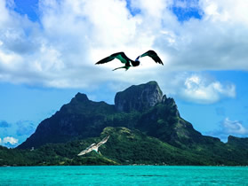 Tahiti Bora Bora Lesbian Only Cruise