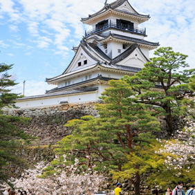 Kochi Japan gay cruise
