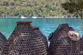 Croatia gay cruise - Mljet National Park