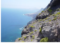 Gran Canaria coast