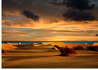 Maspalomas Dunes