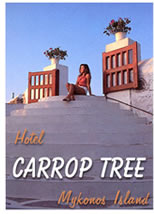Mykonos very gay friendly Carrop Tree Hotel