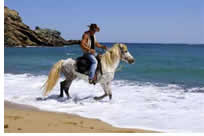 Horse riding on Mykonos Island