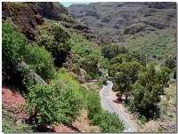 Guayadeque, Gran Canaria