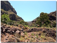 Guayadeque Gran Canaria