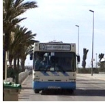 Ibiza Bus