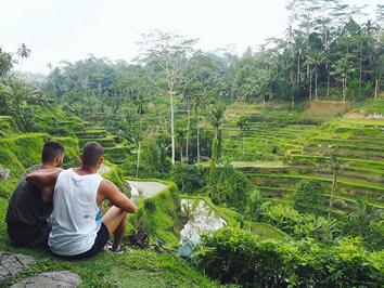 Bali gay tour rice terrace