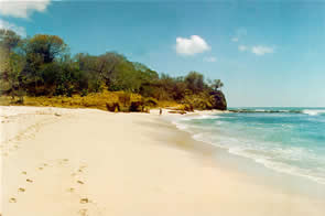 Gay World Adventures Exclusive gay party week in Puerto Vallarta