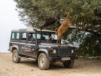 Crete safari excursion