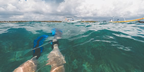 Garrafon Natural Reef Park