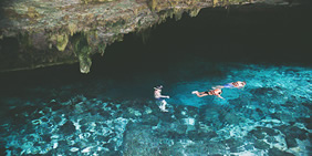 Mystical Cenotes