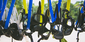 Snorkel Mexico