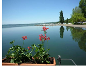 Adam and Steve Travel exclusively Gay tour to Lake Bolsena, Italy