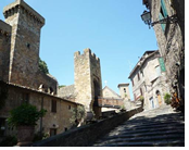 Adam and Steve Travel exclusively Gay tour to Bolsena, Italy