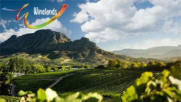 South Africa Winelands gay tour