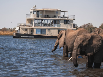 Chobe River gay cruise
