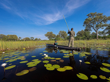 Boswana Mokoro safari