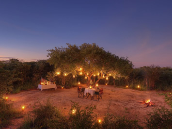 Feline Fields Lodge evening