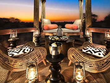 Feline Fields Lodge lounge