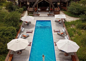 Feline Fields Lodge pool